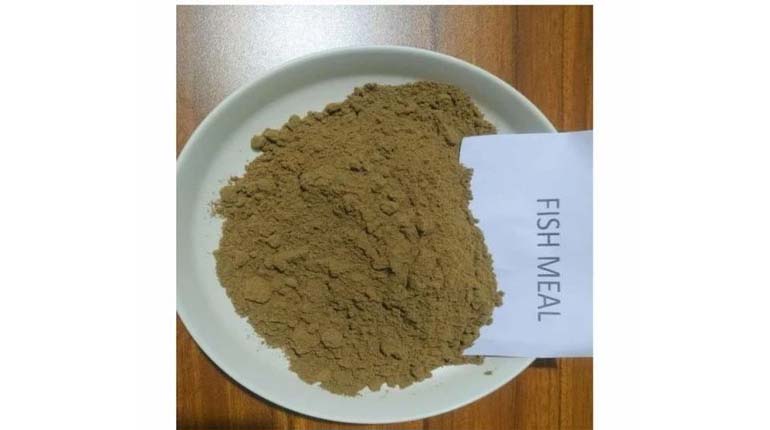 Dry Fish Meal Fertilizer